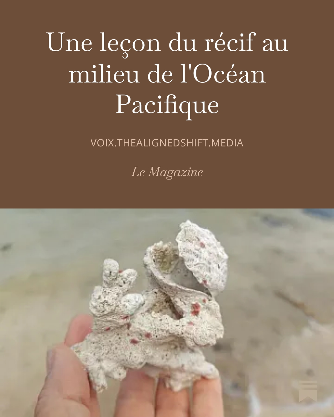Une leçon du récif
